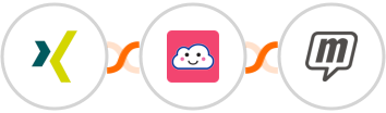 XING Events + Credit Repair Cloud + MailUp Integration