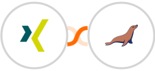 XING Events + MariaDB Integration