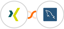 XING Events + MySQL Integration