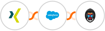 XING Events + Salesforce Marketing Cloud + Mandrill Integration