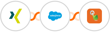 XING Events + Salesforce Marketing Cloud + SMS Gateway Hub Integration