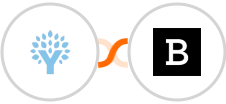 You Need A Budget (YNAB) + Braintree Integration